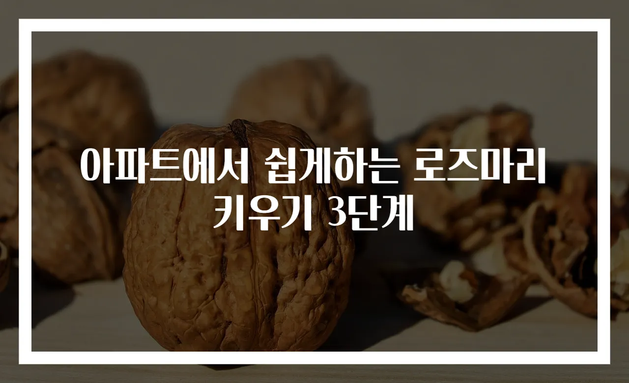 아파트에서 쉽게하는 로즈마리 키우기 3단계