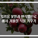 안시리움 꽃말과 번식법으로 집에서 겨울철 식물 키우기