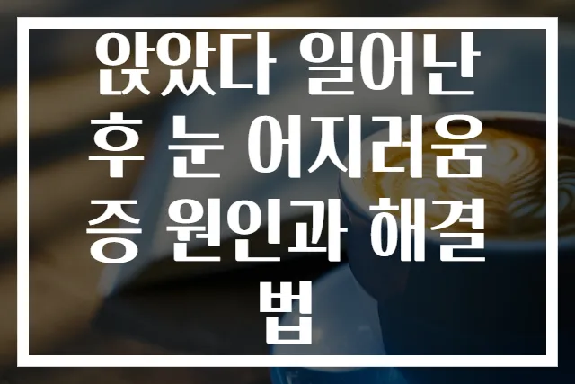 앉았다 일어난 후 눈 어지러움증 원인과 해결법