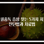 알콜중독 증상 찾는 5가지 자가진단법과 치료법