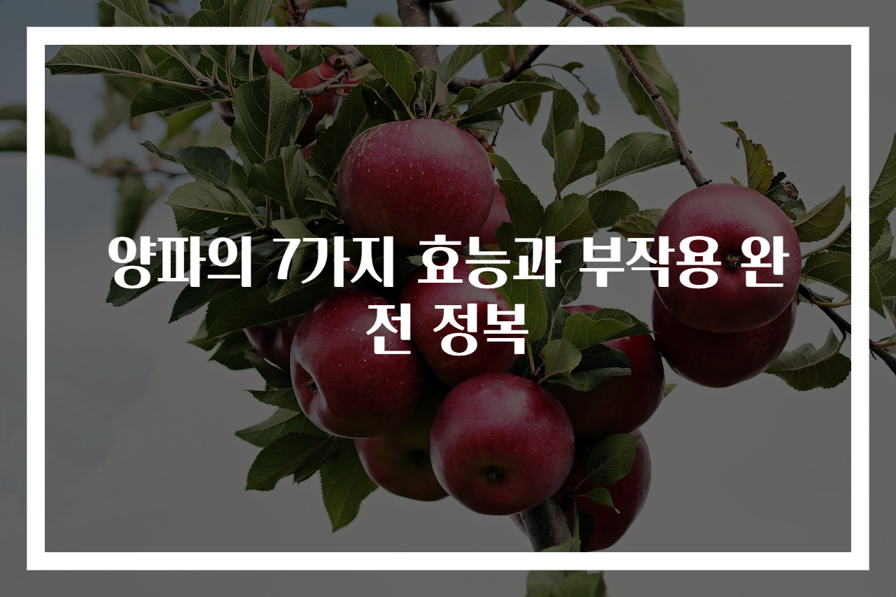 양파의 7가지 효능과 부작용 완전 정복