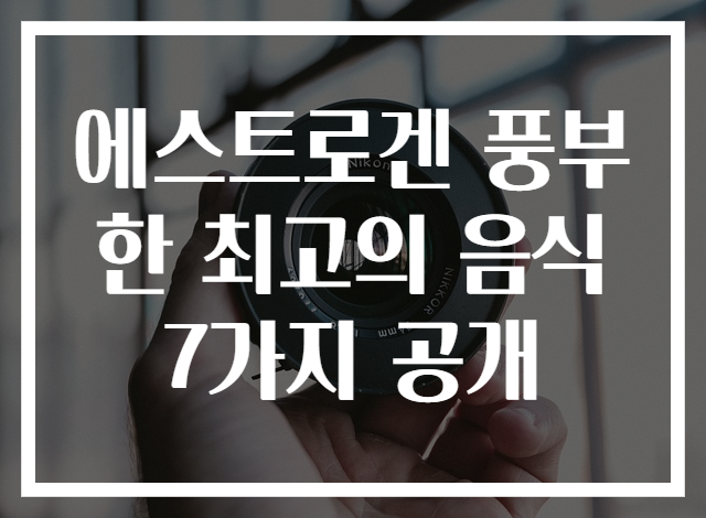 에스트로겐 풍부한 최고의 음식 7가지 공개