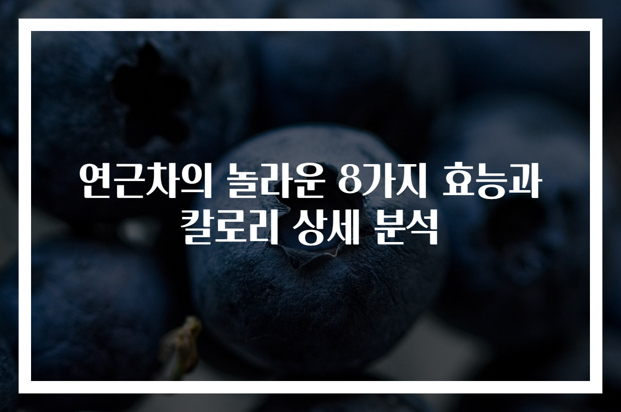 연근차의 놀라운 8가지 효능과 칼로리 상세 분석