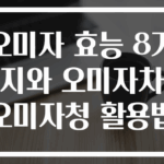오미자 효능 8가지와 오미자차 오미자청 활용법