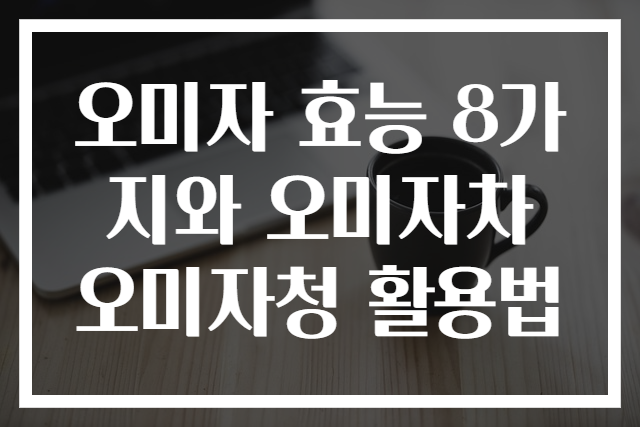 오미자 효능 8가지와 오미자차 오미자청 활용법
