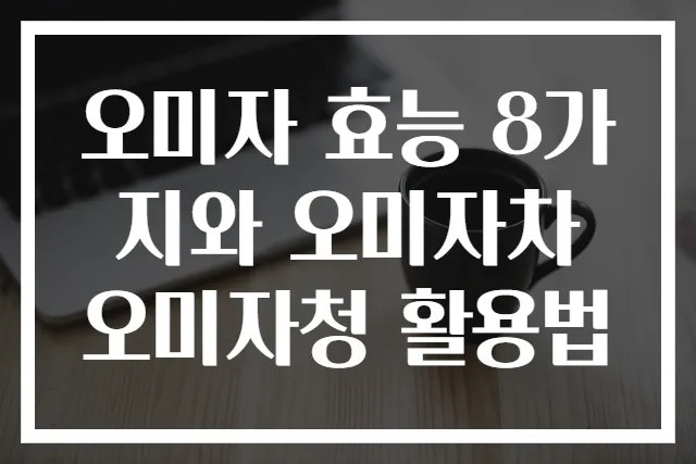 오미자 효능 8가지와 오미자차 오미자청 활용법