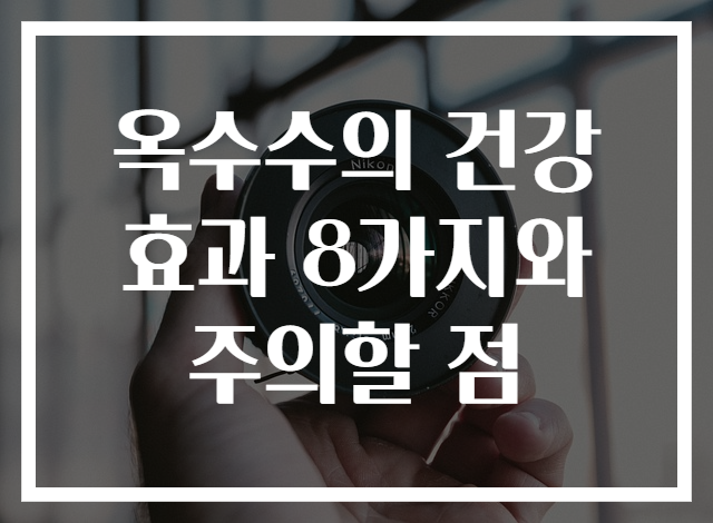 옥수수의 건강 효과 8가지와 주의할 점