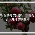 왼쪽 오른쪽 엄지발가락 통증 원인 5가지 알아보기