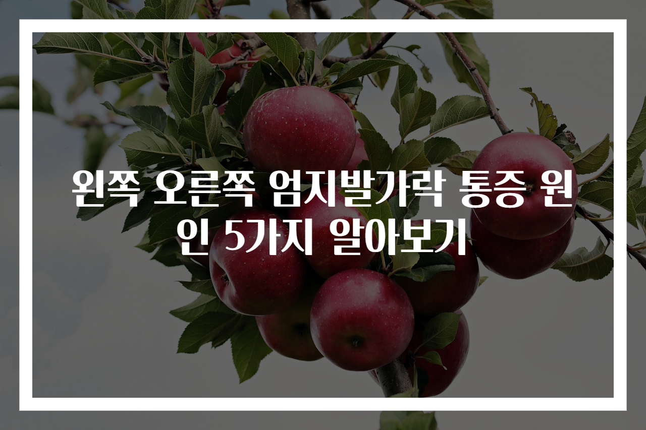 왼쪽 오른쪽 엄지발가락 통증 원인 5가지 알아보기