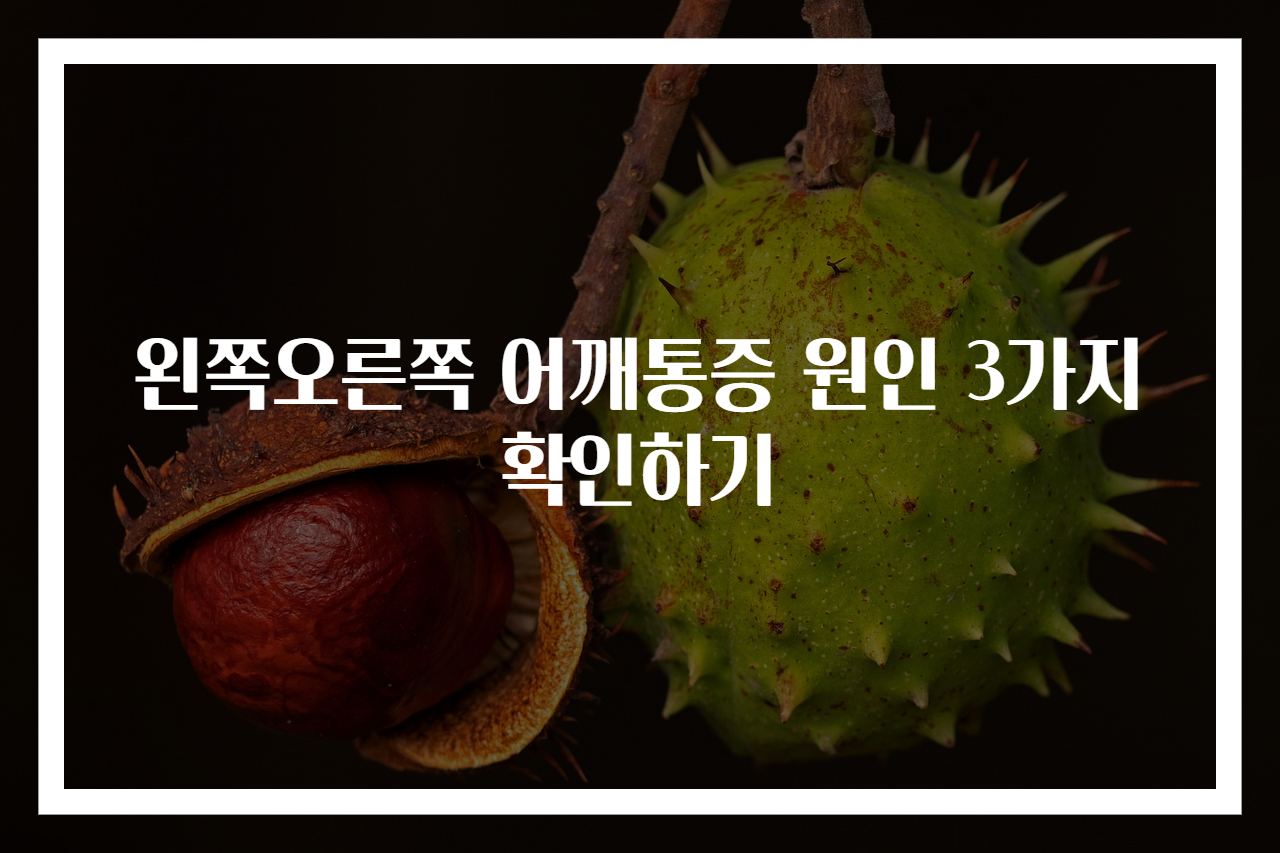 왼쪽오른쪽 어깨통증 원인 3가지 확인하기