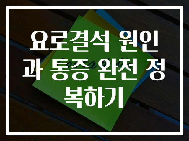 요로결석 원인과 통증 완전 정복하기