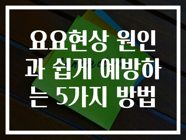 요요현상 원인과 쉽게 예방하는 5가지 방법