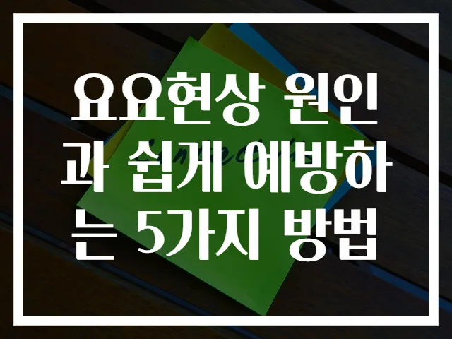 요요현상 원인과 쉽게 예방하는 5가지 방법