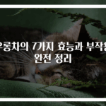 우롱차의 7가지 효능과 부작용 완전 정리