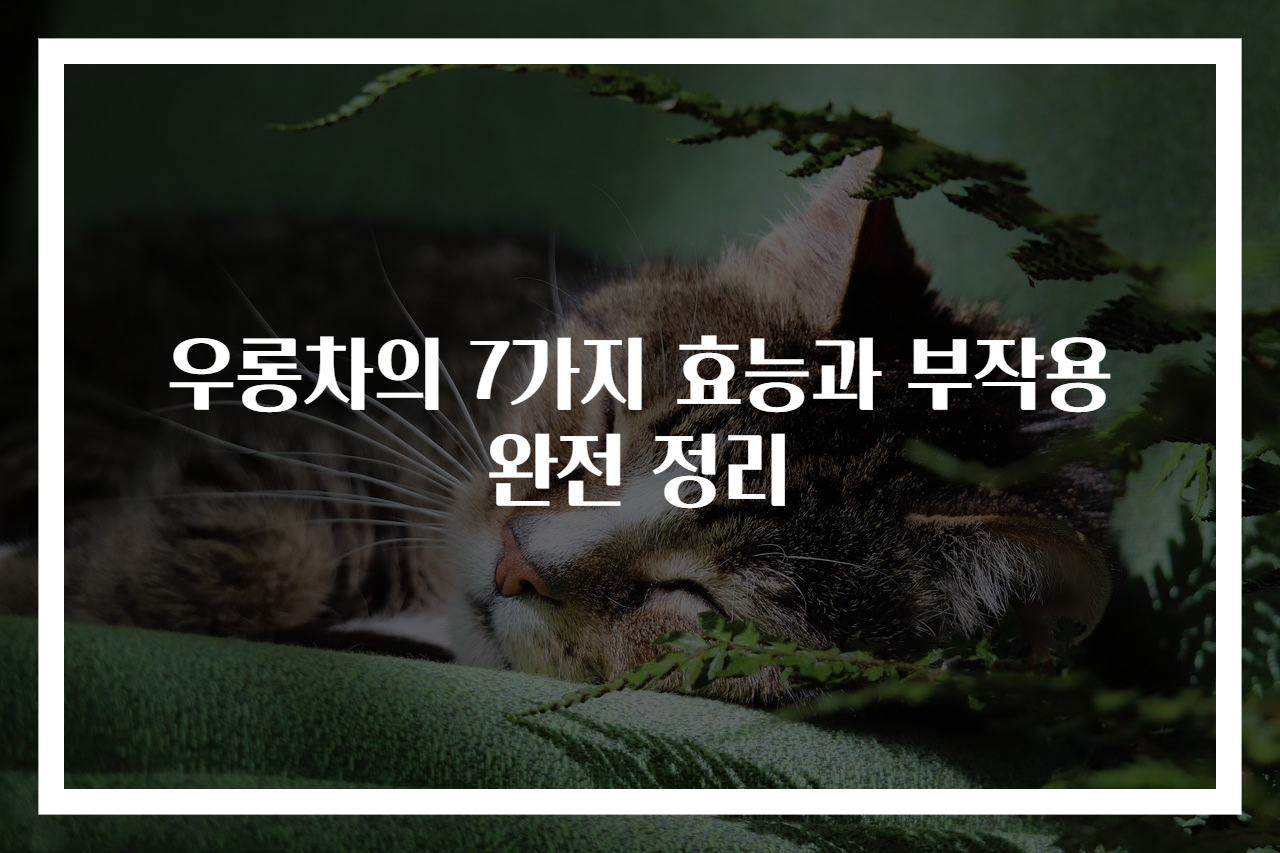 우롱차의 7가지 효능과 부작용 완전 정리