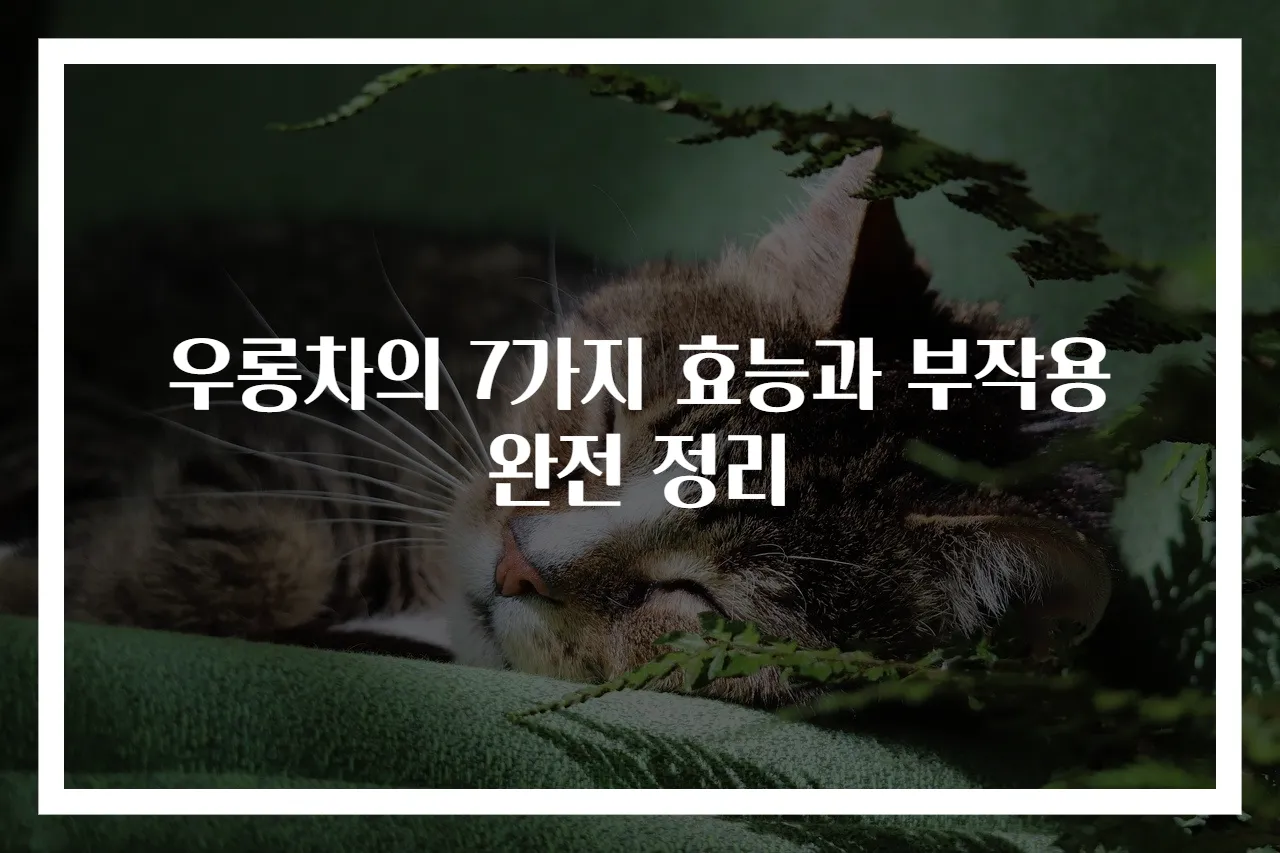 우롱차의 7가지 효능과 부작용 완전 정리