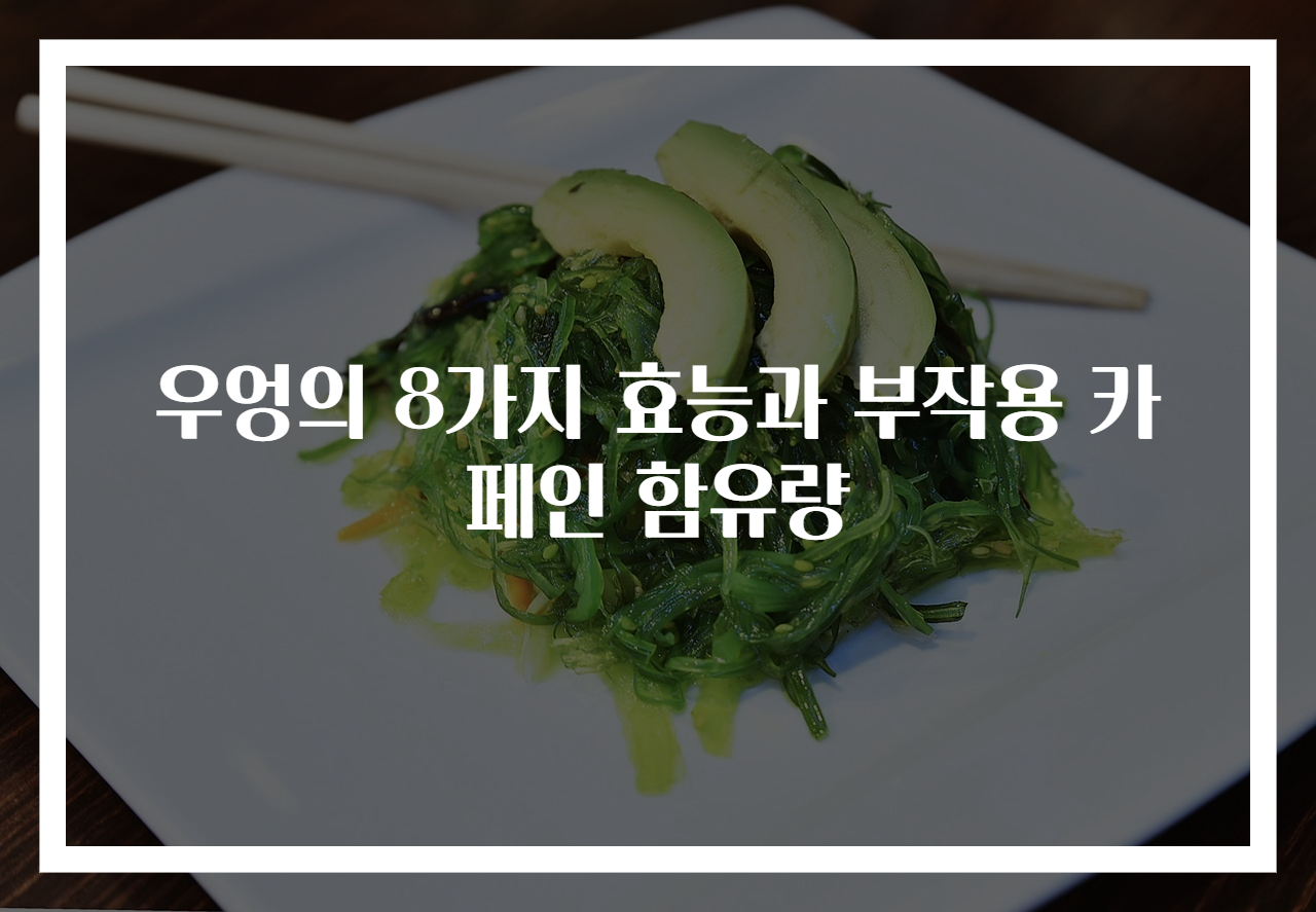 우엉의 8가지 효능과 부작용 카페인 함유량