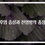 인후염 증상과 전염병약 총정리