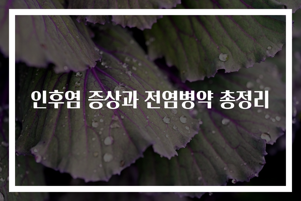 인후염 증상과 전염병약 총정리