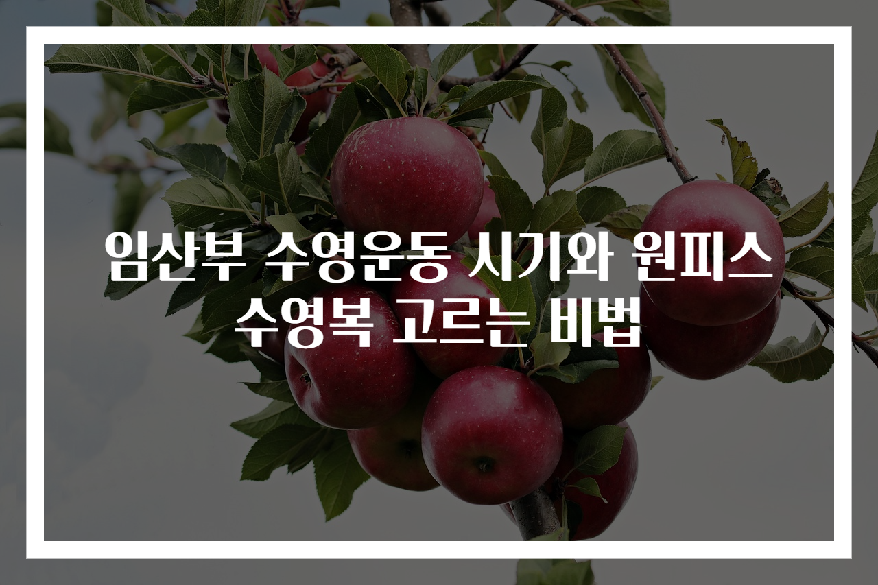 임산부 수영운동 시기와 원피스 수영복 고르는 비법