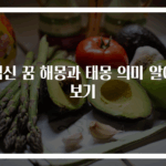 임신 꿈 해몽과 태몽 의미 알아보기