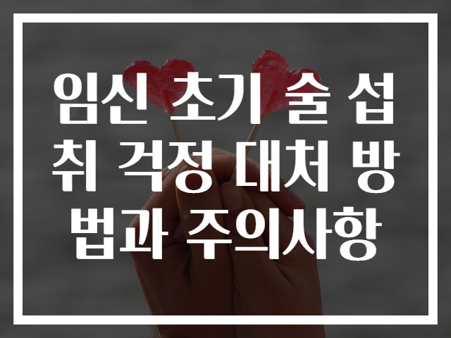 임신 초기 술 섭취 걱정 대처 방법과 주의사항