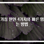 잔기침 원인 4가지와 빠른 멈추는 방법