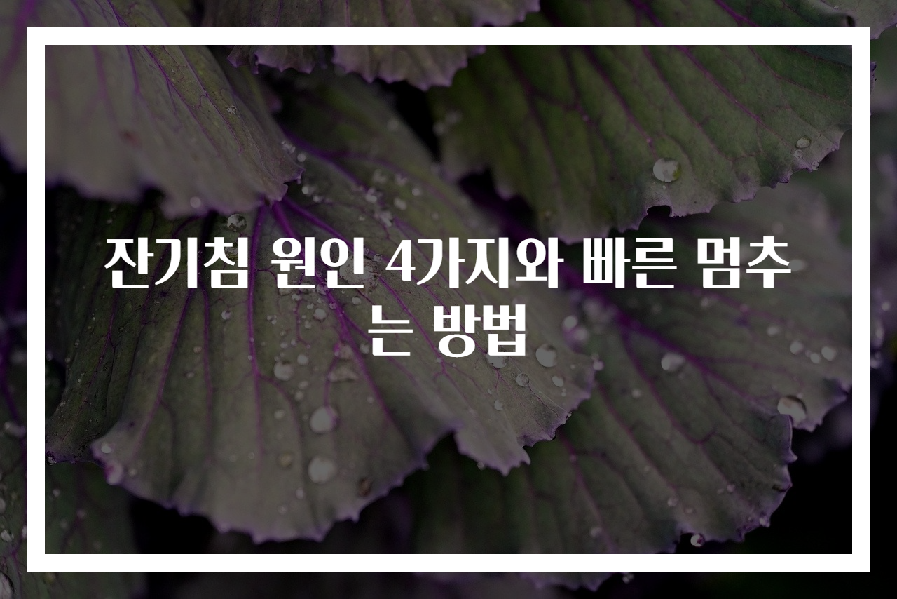 잔기침 원인 4가지와 빠른 멈추는 방법