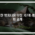제철 방풍나물 무침 3단계 레시피 공개