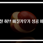 제철 허브 바질키우기 성공 비법