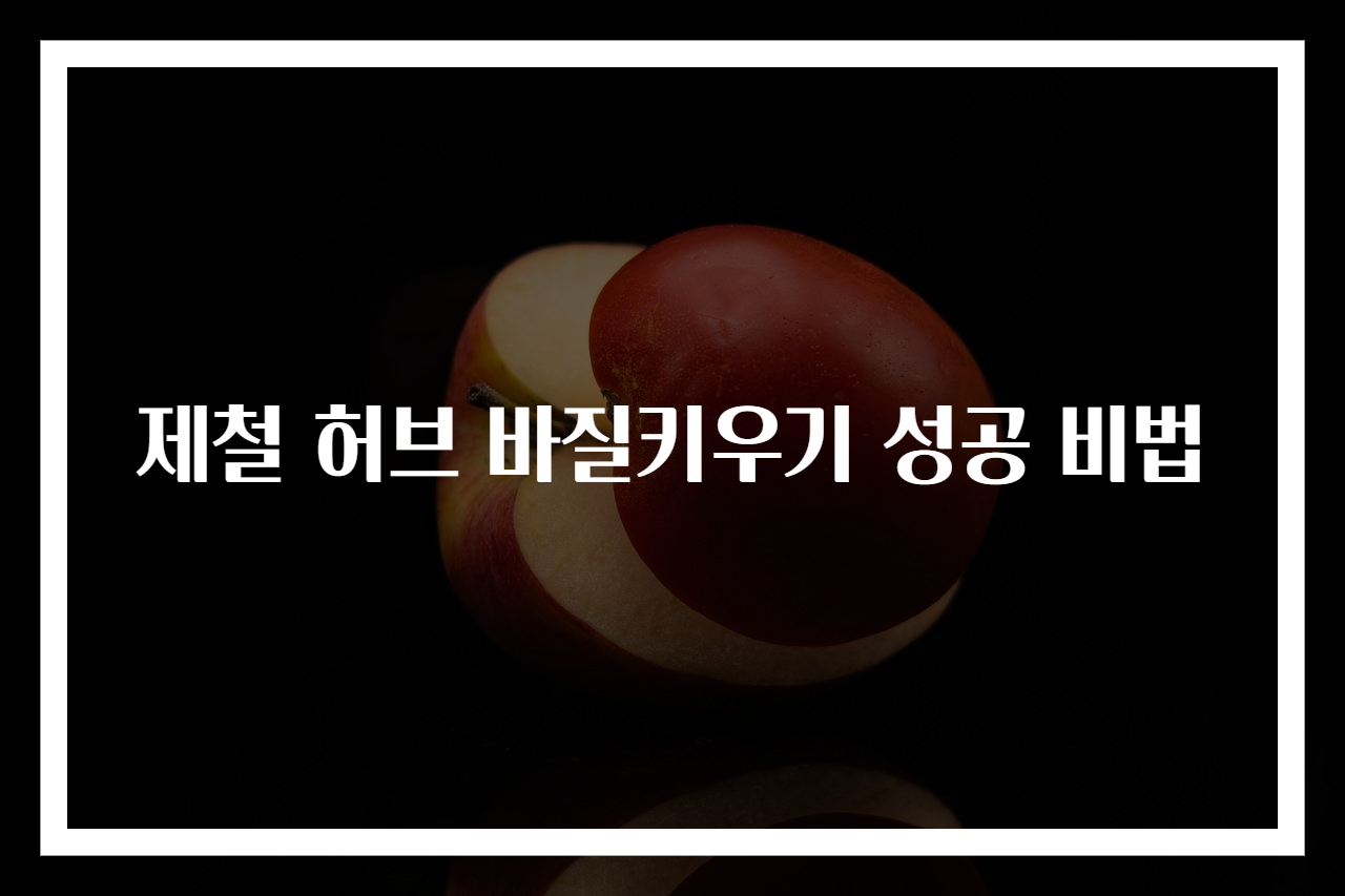 제철 허브 바질키우기 성공 비법