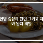 조현병 증상과 원인 그리고 치료와 완치 비밀