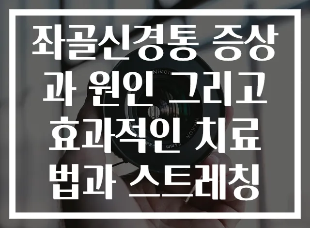 좌골신경통 증상과 원인 그리고 효과적인 치료법과 스트레칭