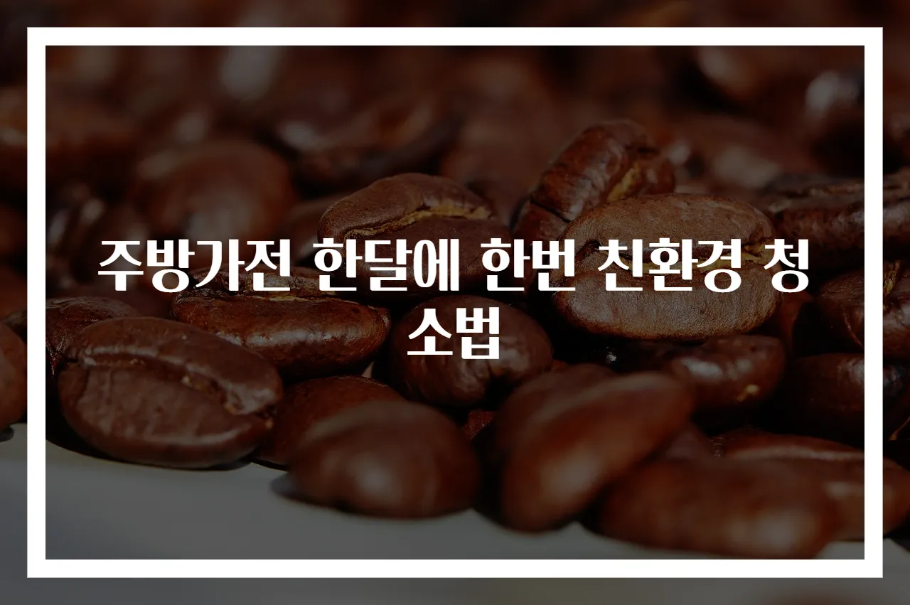 주방가전 한달에 한번 친환경 청소법