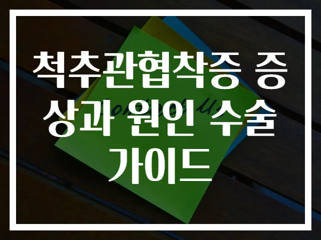 척추관협착증 증상과 원인 수술 가이드