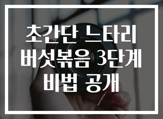 초간단 느타리버섯볶음 3단계 비법 공개