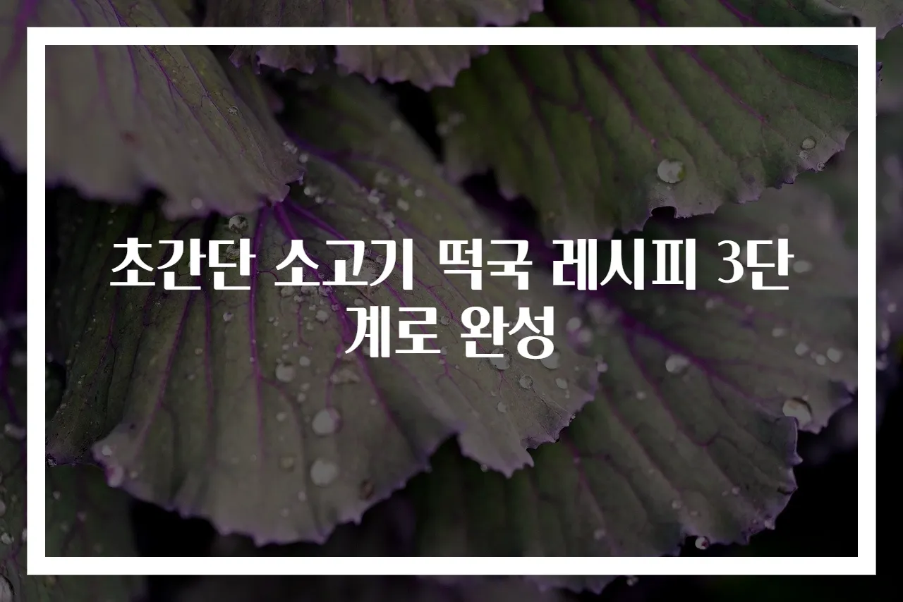 초간단 소고기 떡국 레시피 3단계로 완성
