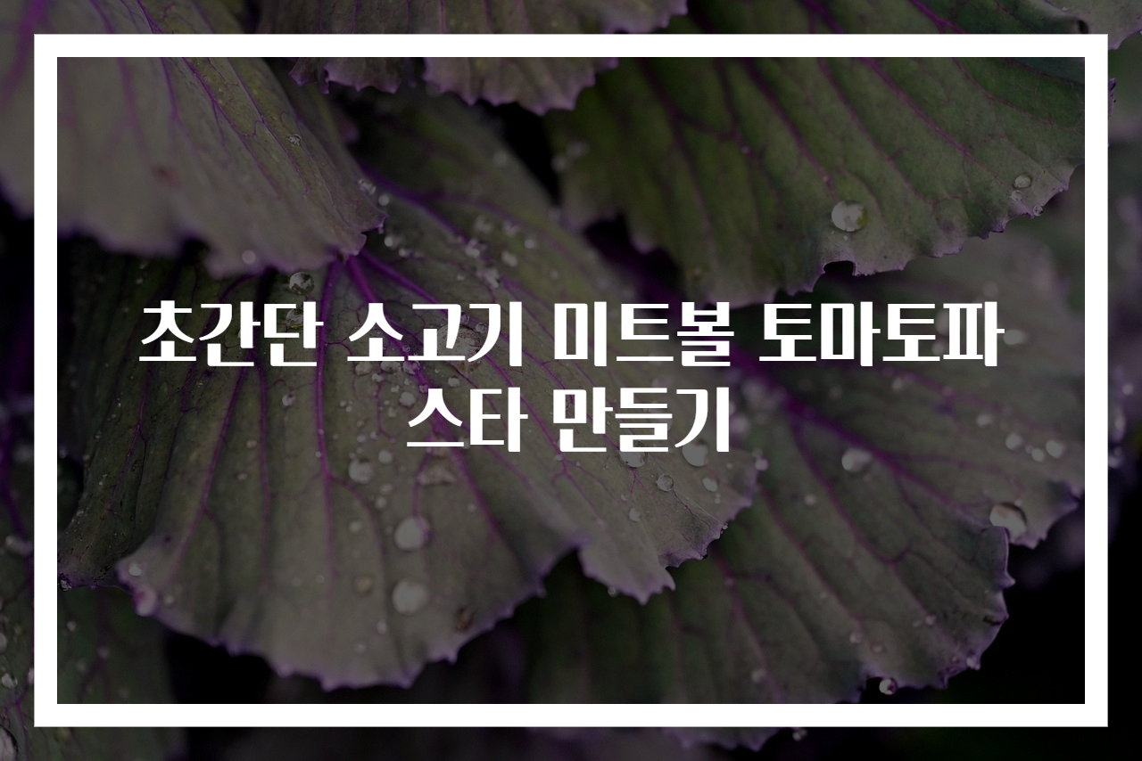 초간단 소고기 미트볼 토마토파스타 만들기