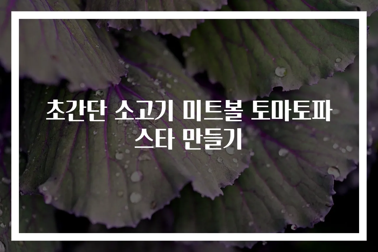 초간단 소고기 미트볼 토마토파스타 만들기