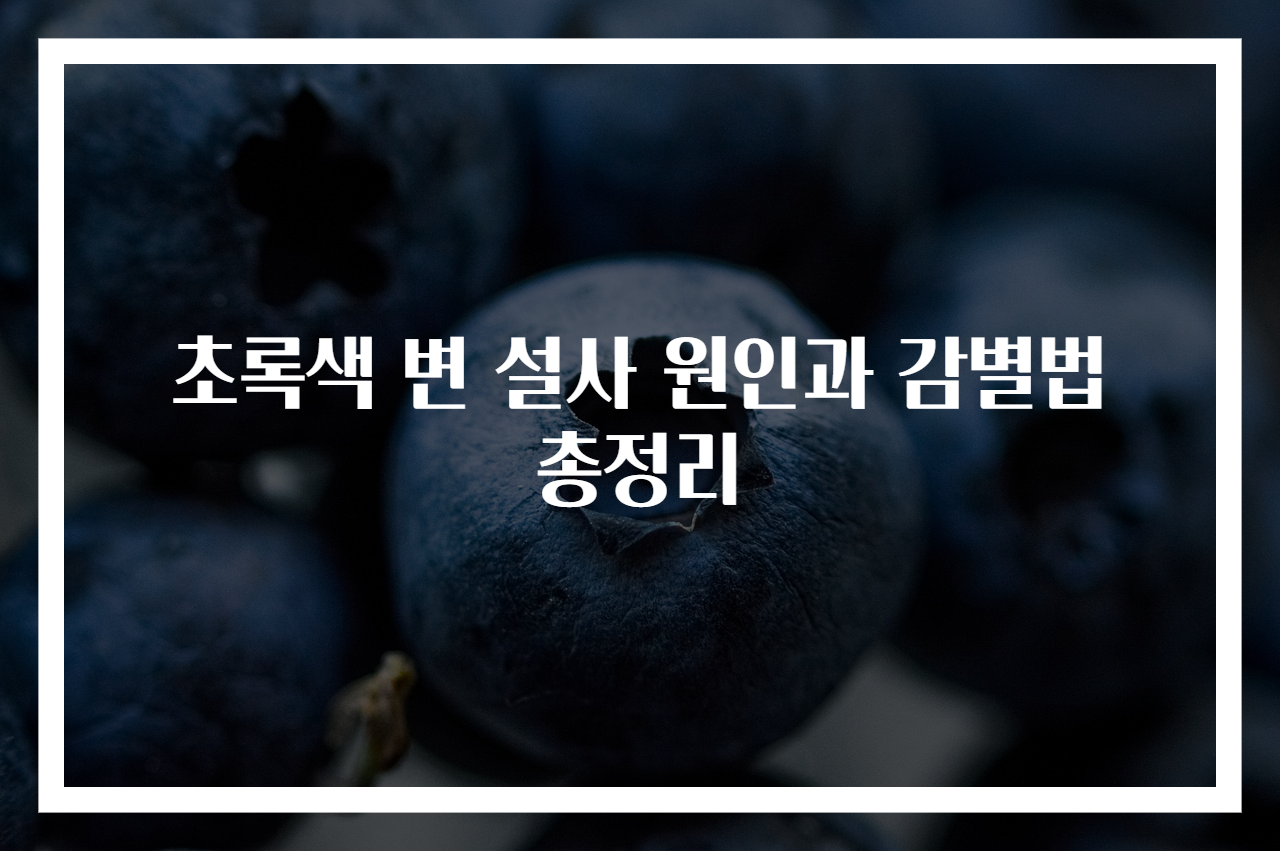 초록색 변 설사 원인과 감별법 총정리