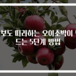초보도 따라하는 오이소박이 만드는 5단계 방법