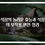 초석잠의 놀라운 효능과 석잠풀의 부작용 완전 정리