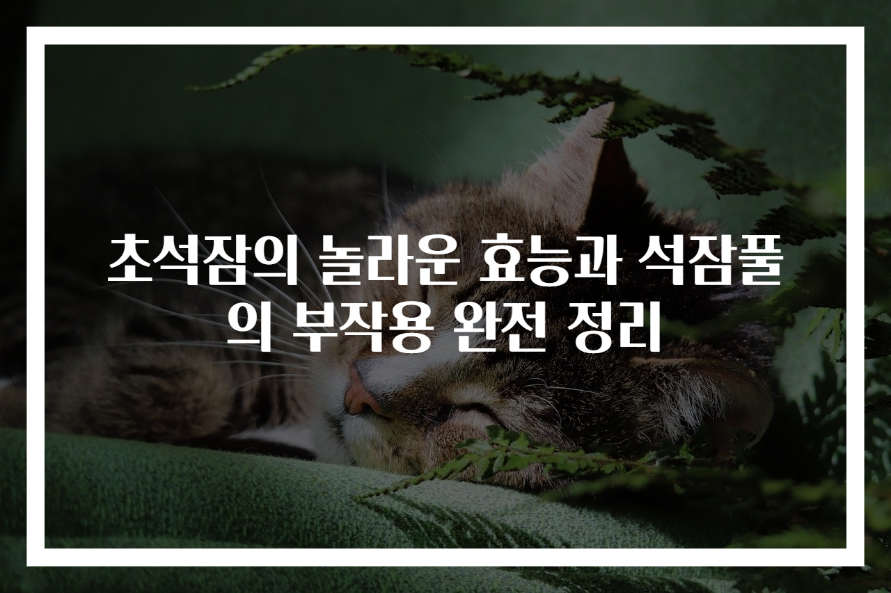 초석잠의 놀라운 효능과 석잠풀의 부작용 완전 정리