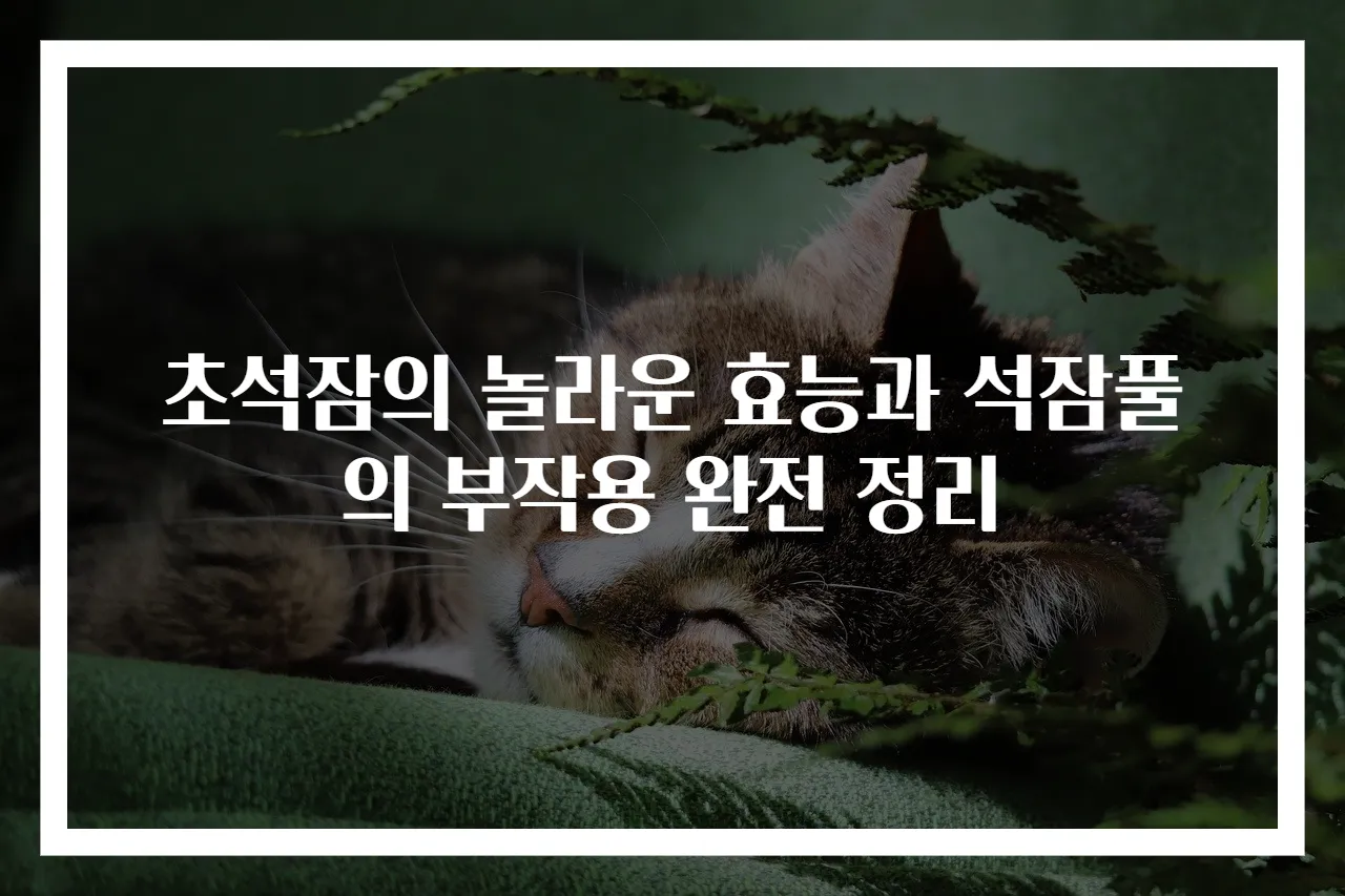 초석잠의 놀라운 효능과 석잠풀의 부작용 완전 정리