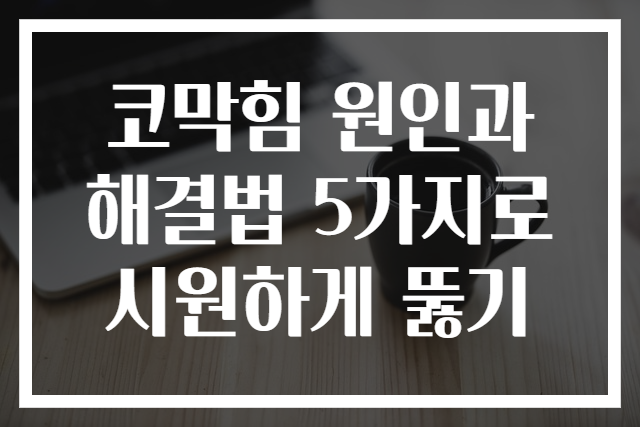 코막힘 원인과 해결법 5가지로 시원하게 뚫기