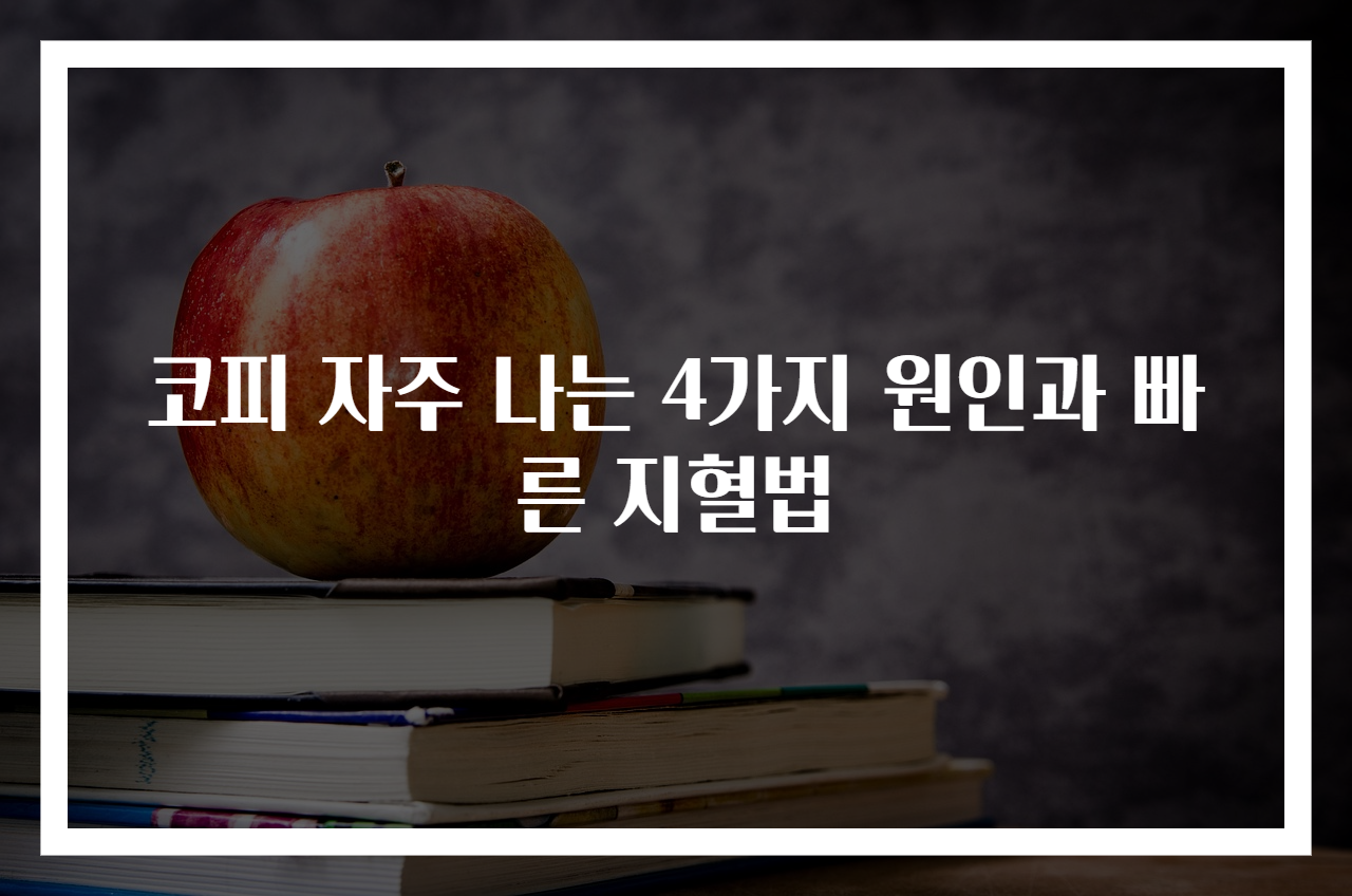 코피 자주 나는 4가지 원인과 빠른 지혈법