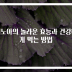 퀴노아의 놀라운 효능과 건강하게 먹는 방법