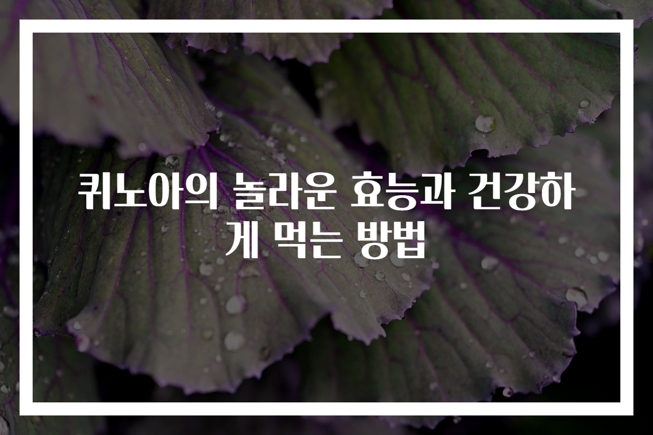 퀴노아의 놀라운 효능과 건강하게 먹는 방법