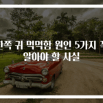 한쪽 귀 먹먹함 원인 5가지 꼭 알아야 할 사실
