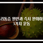 허리통증 원인과 즉시 완화하는 3가지 운동